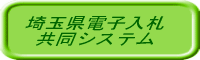 ��ʌ��d�q���D�V�X�e��
