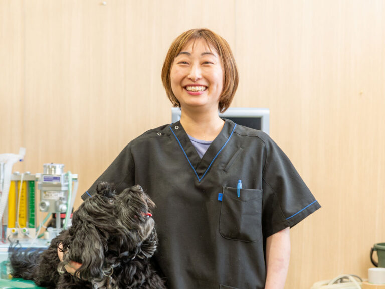 ぽむぽむ動物病院