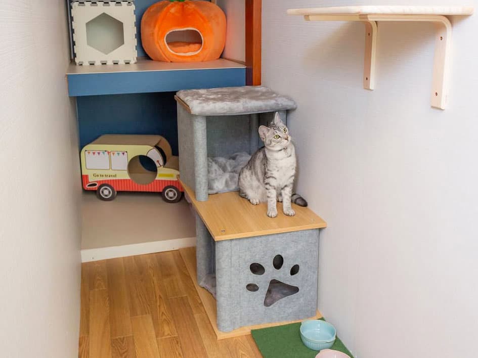 トリミングサロンわんた