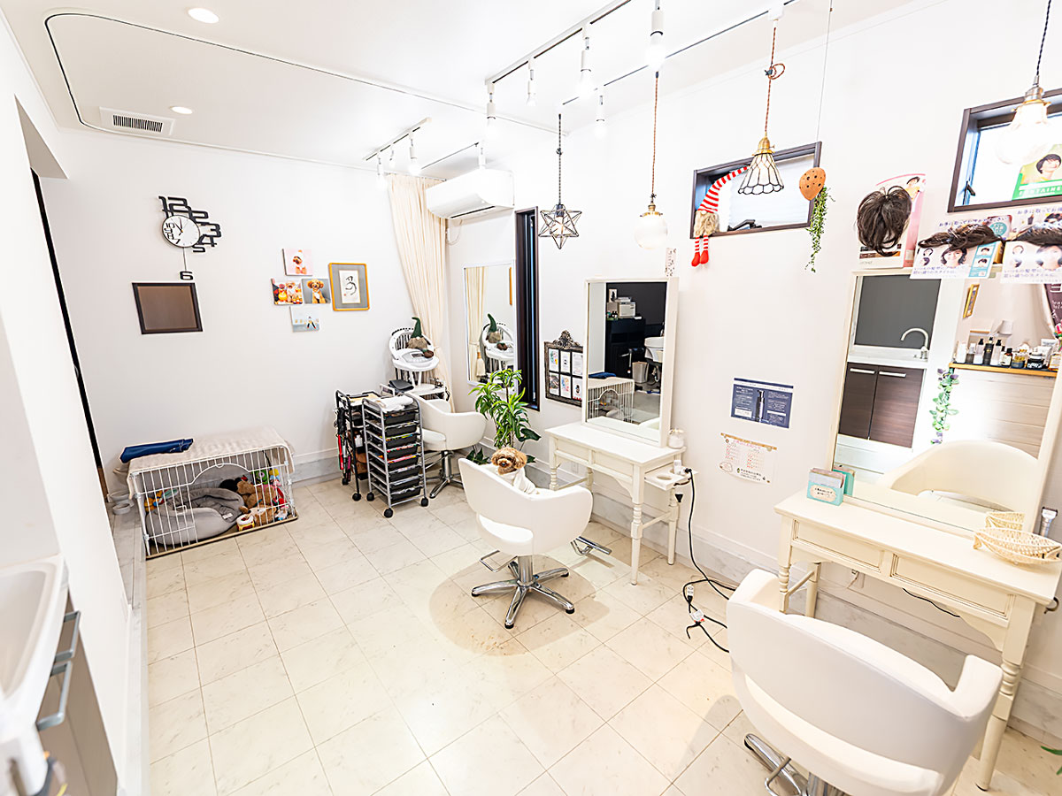 imu hair design