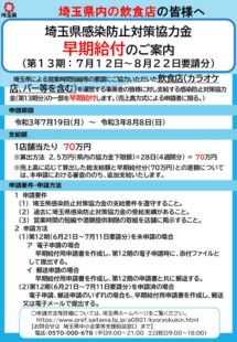 13期_早期給付のサムネイル