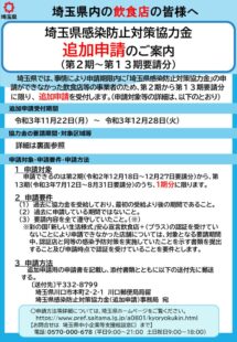 追加申請チラシのサムネイル